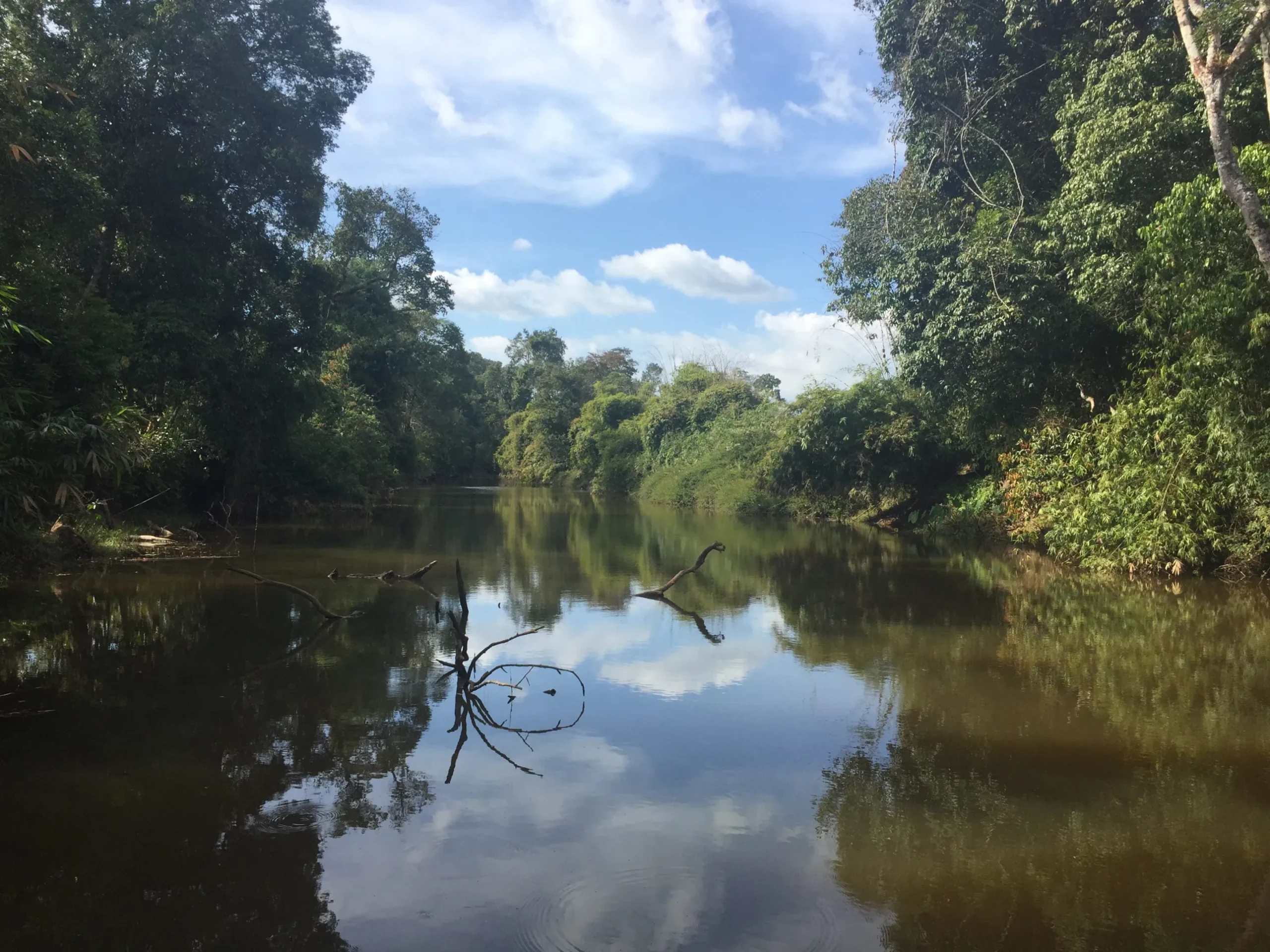 Don Sahong Project Update